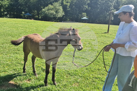 Троян - деца с увреждания - хипотерапия