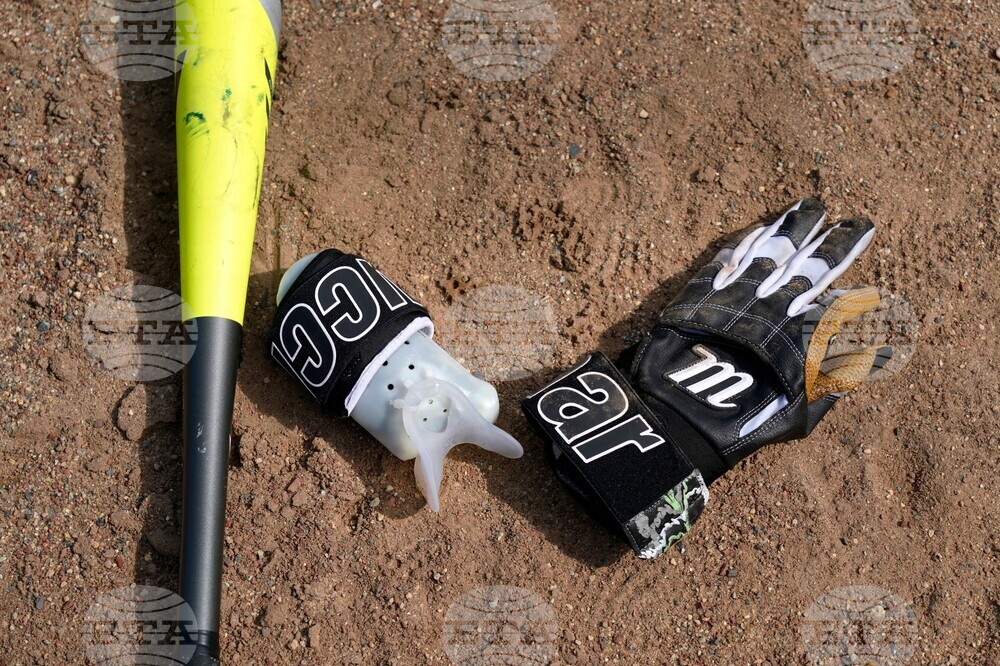 WPBL Apgar's Journey Baseball