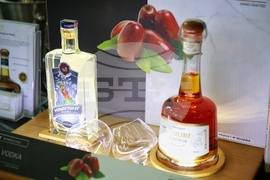 Бургас - Фестивал на виното - „Wine & Spirits Fest“ 2026