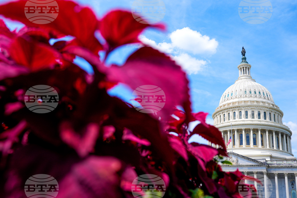 Congress