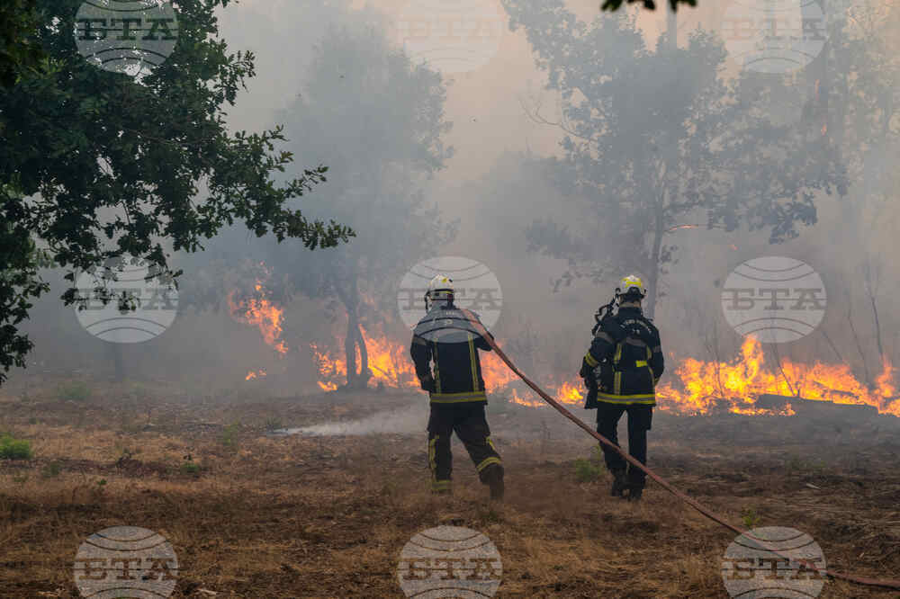 France Wildfires