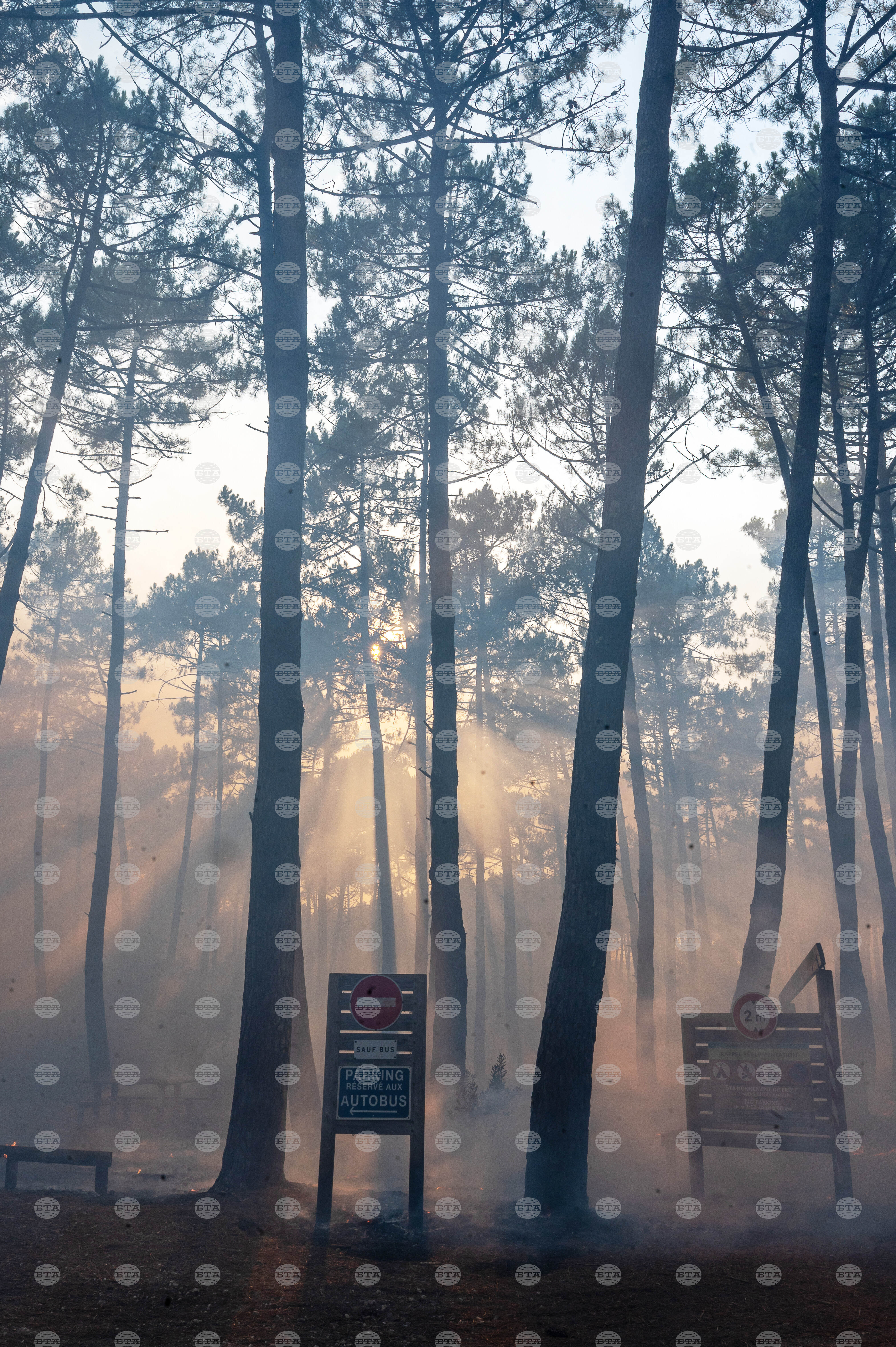 France Wildfires