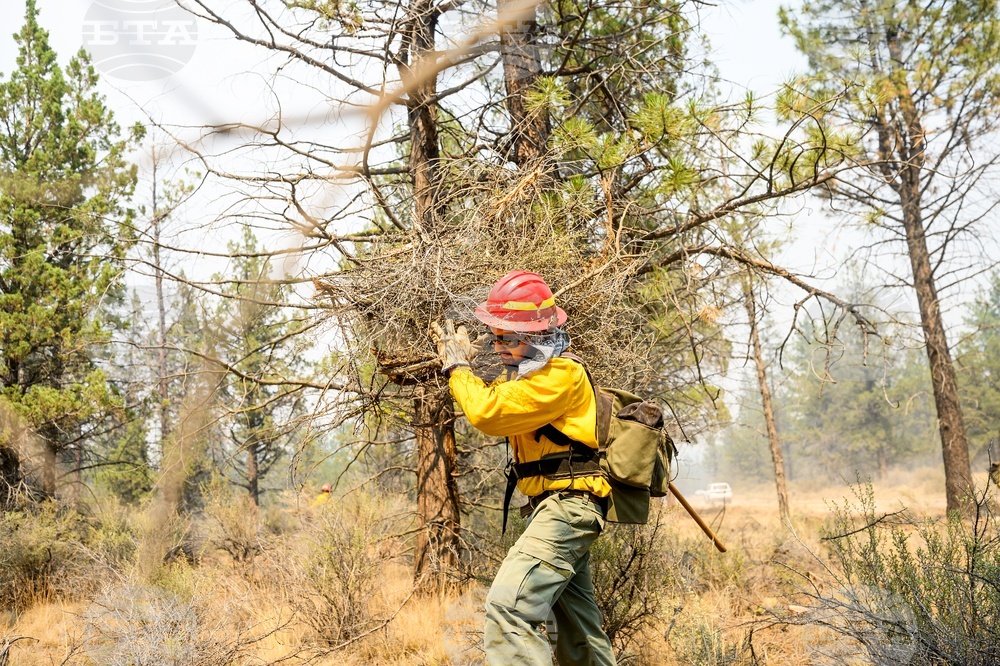 Oregon Wildfires