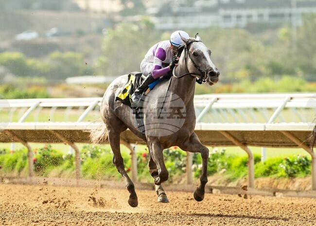 Del Mar Horse Racing