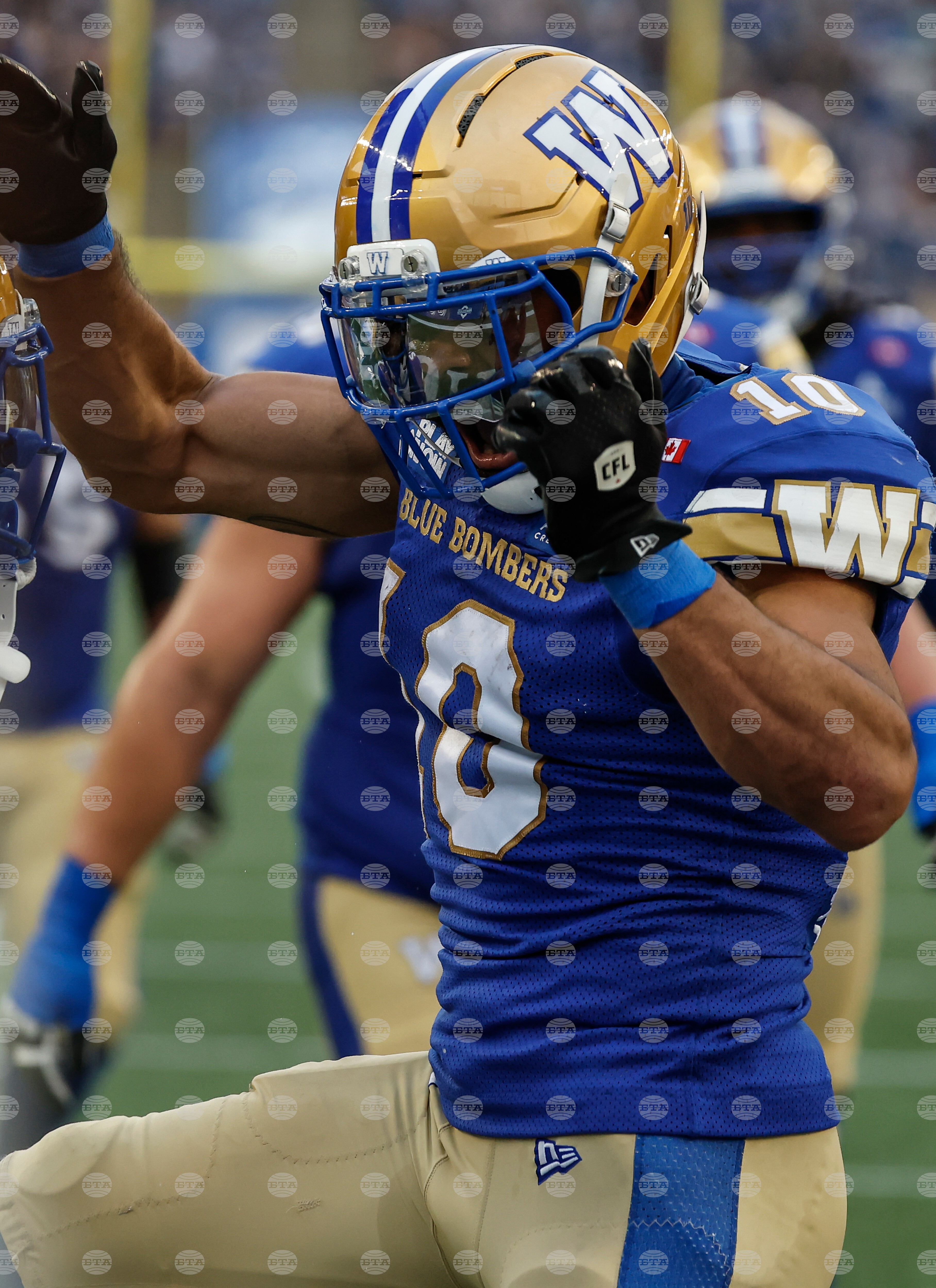 CFL Stampeders-Blue Bombers Football