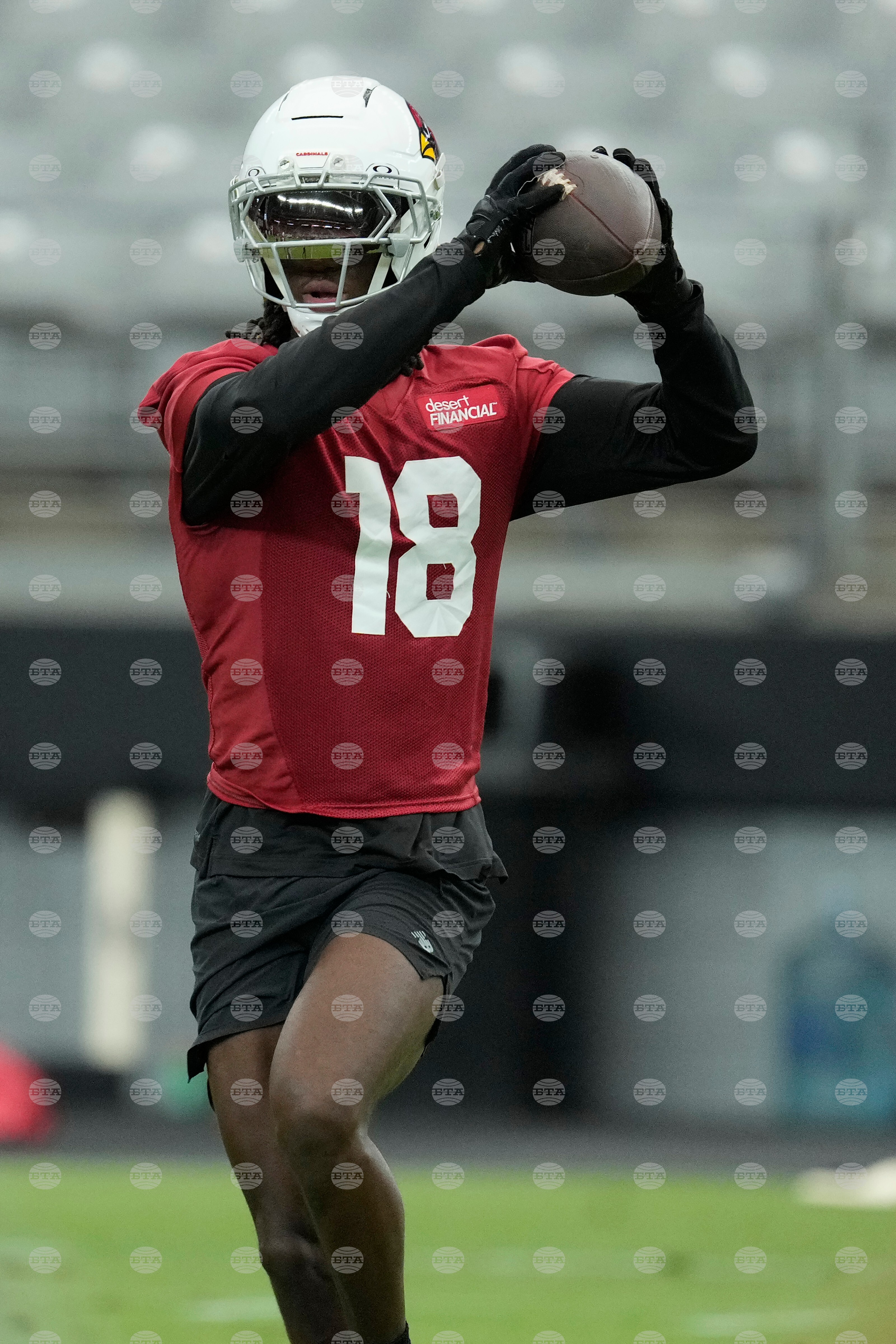 Cardinals Football