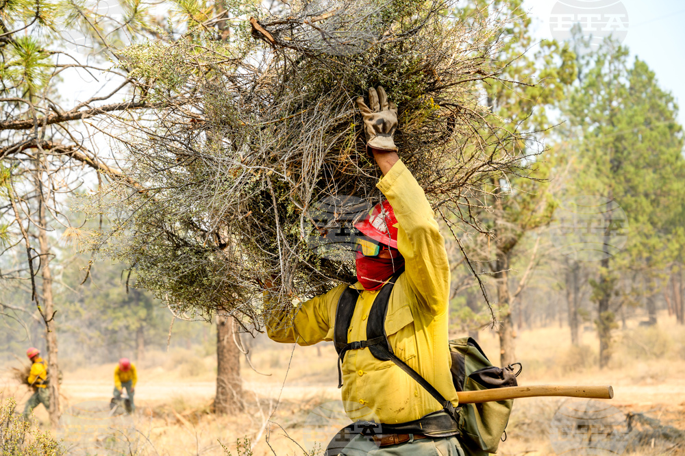 Oregon Wildfires