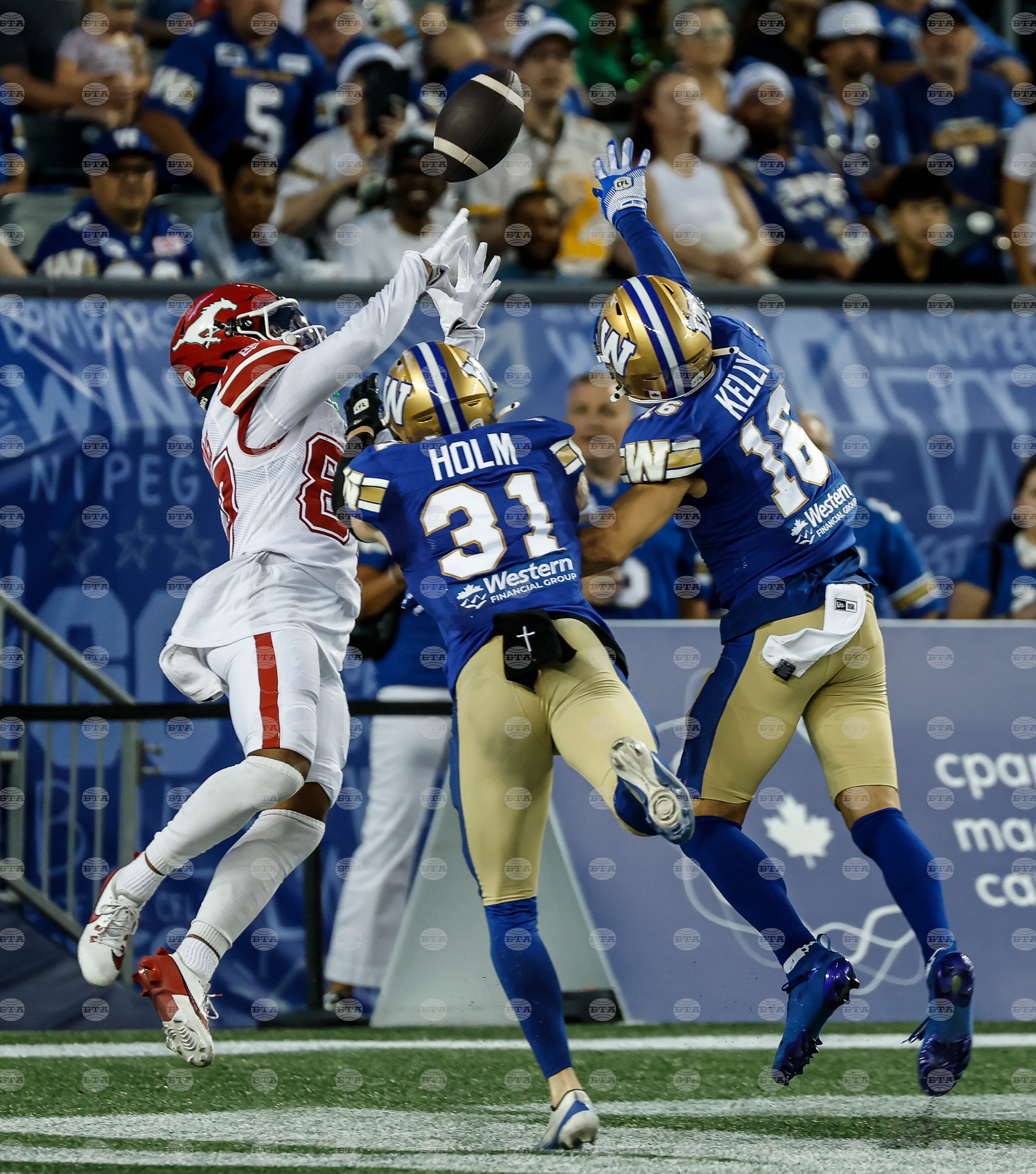CFL Stampeders Blue Bombers Football