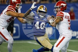 CFL Stampeders Blue Bombers Football