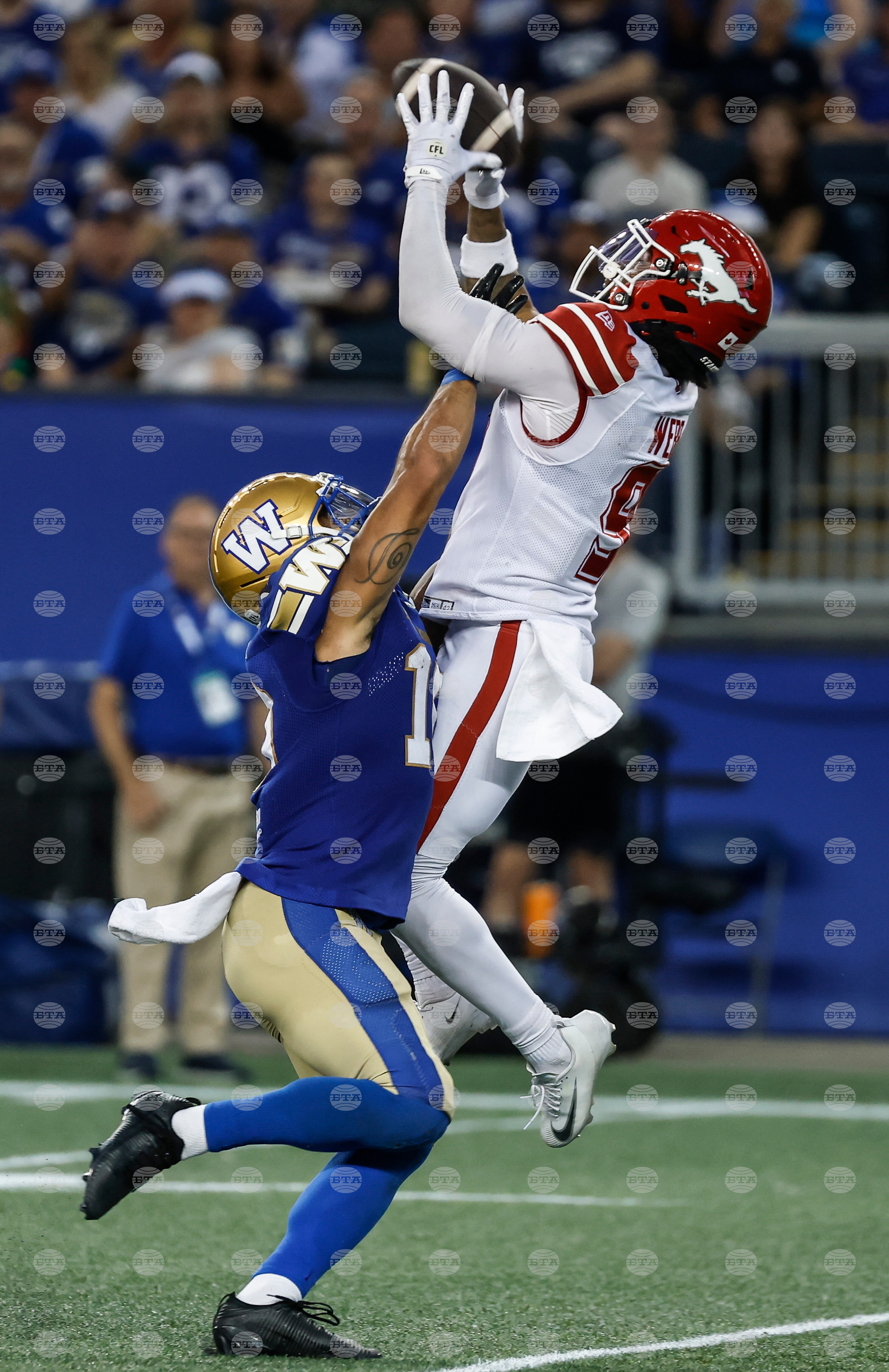 CFL Stampeders Blue Bombers Football