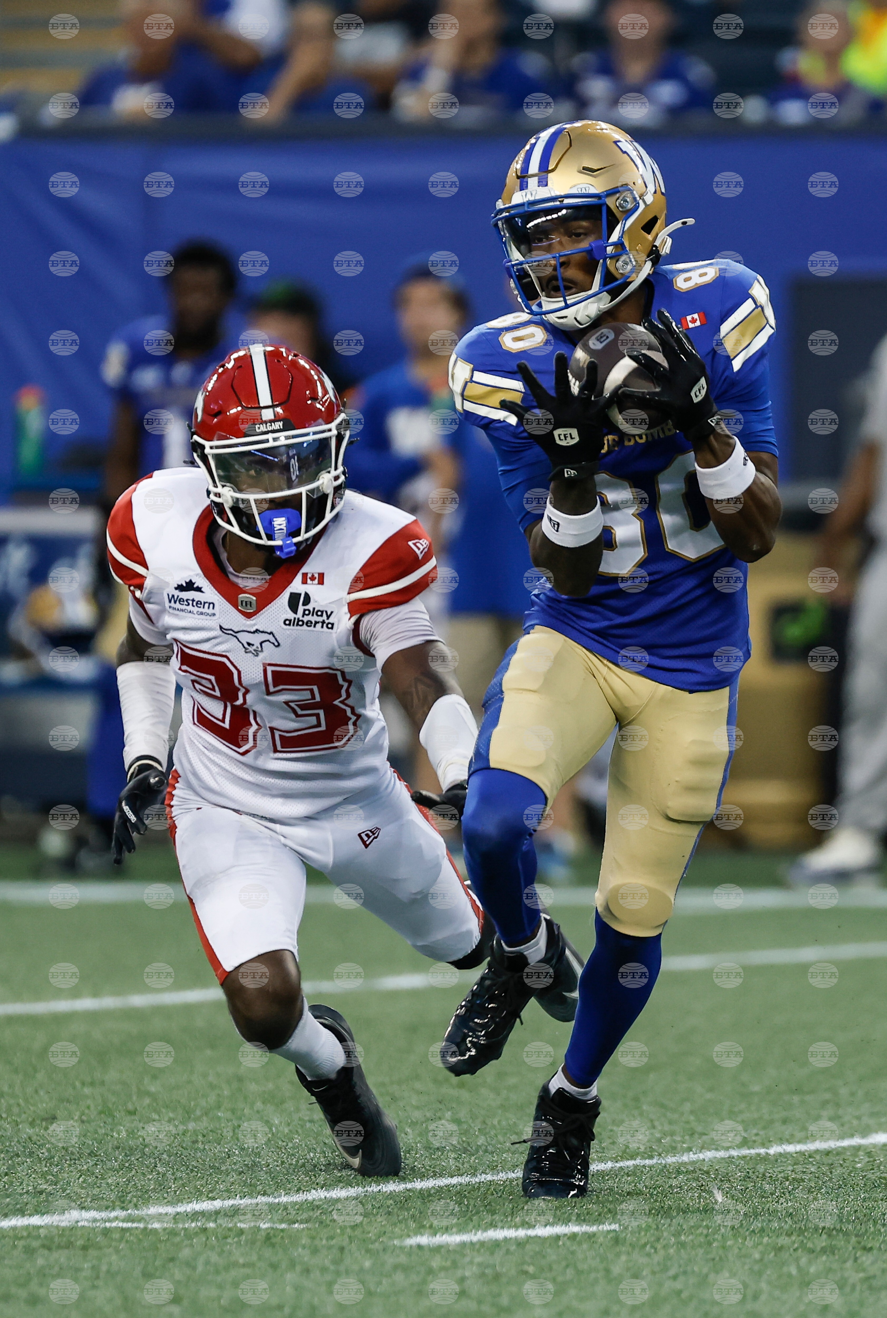 CFL Stampeders Blue Bombers Football