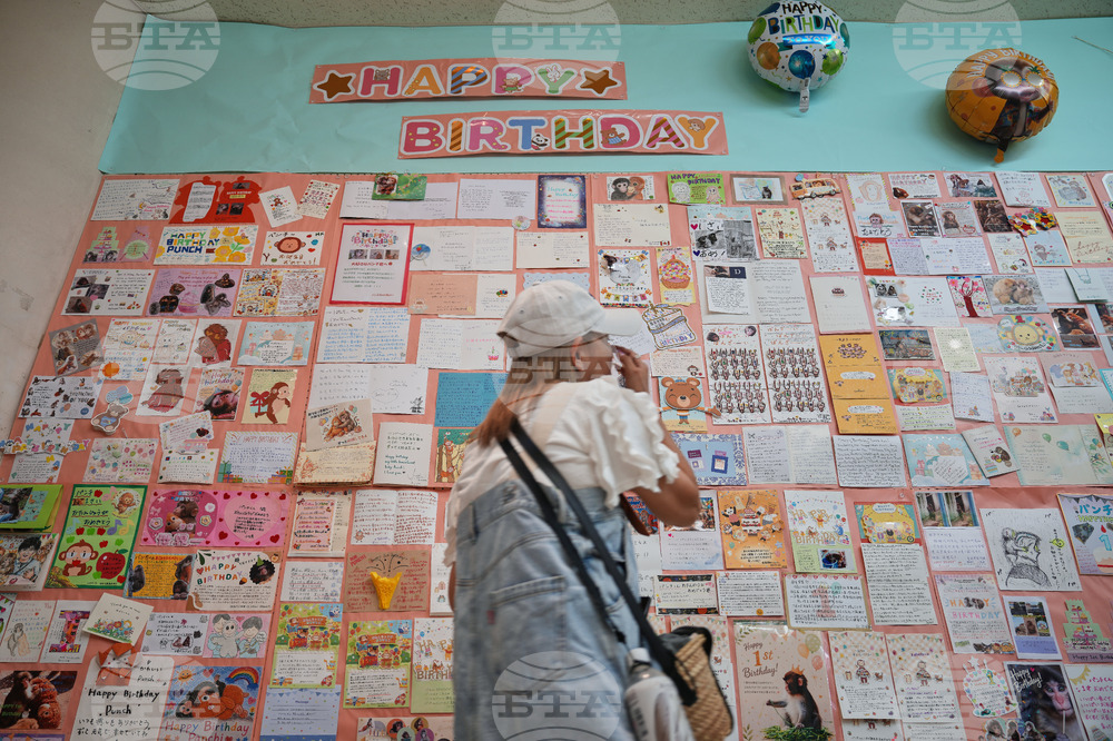 Japan Monkey Birthday