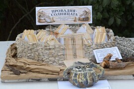 Провадия - солница - нов археологически сезон