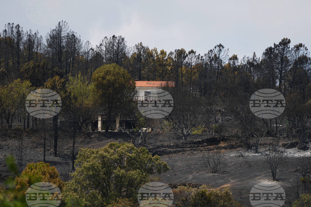 Spain Europe Wildfires