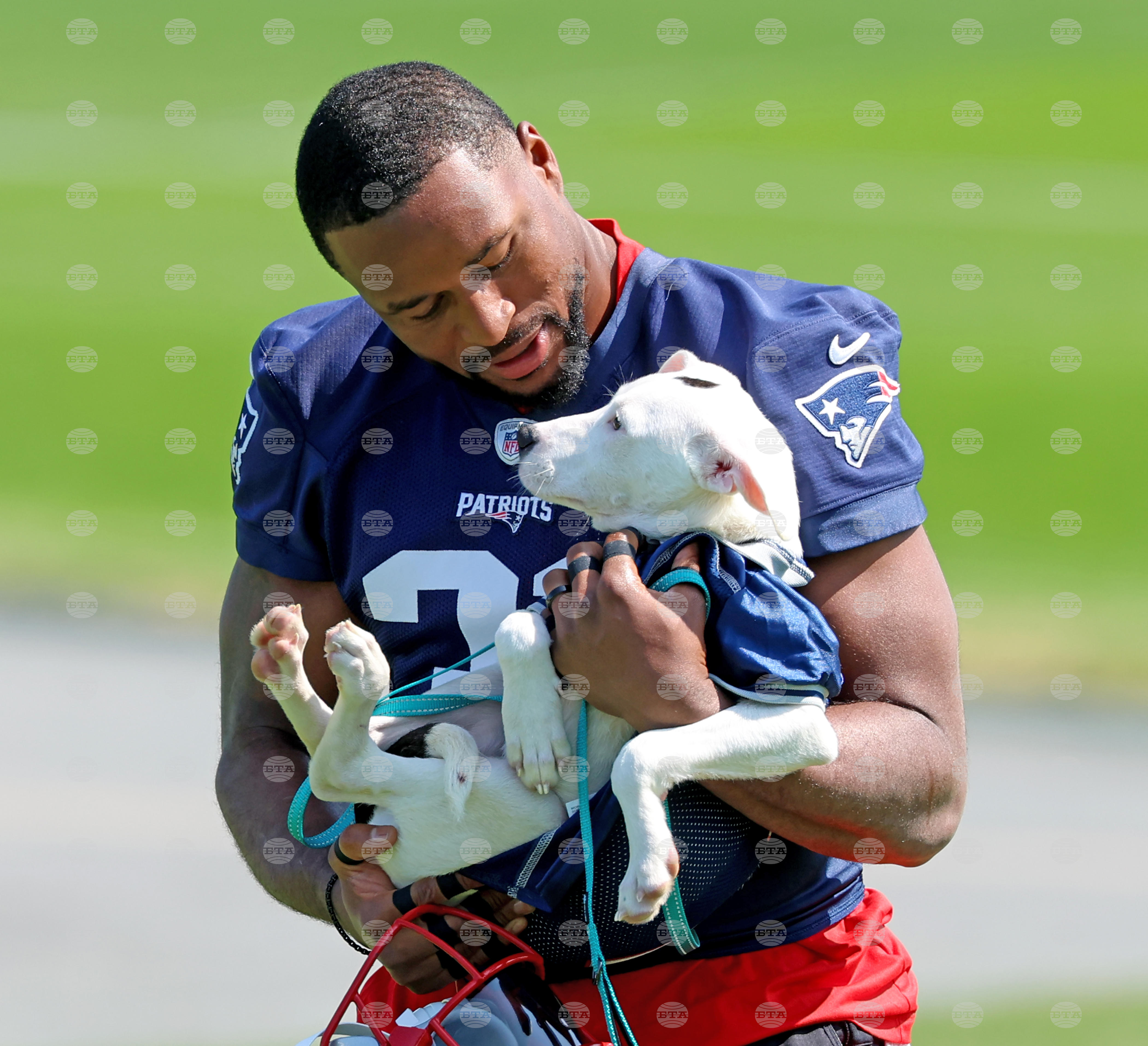 Patriots Camp Football