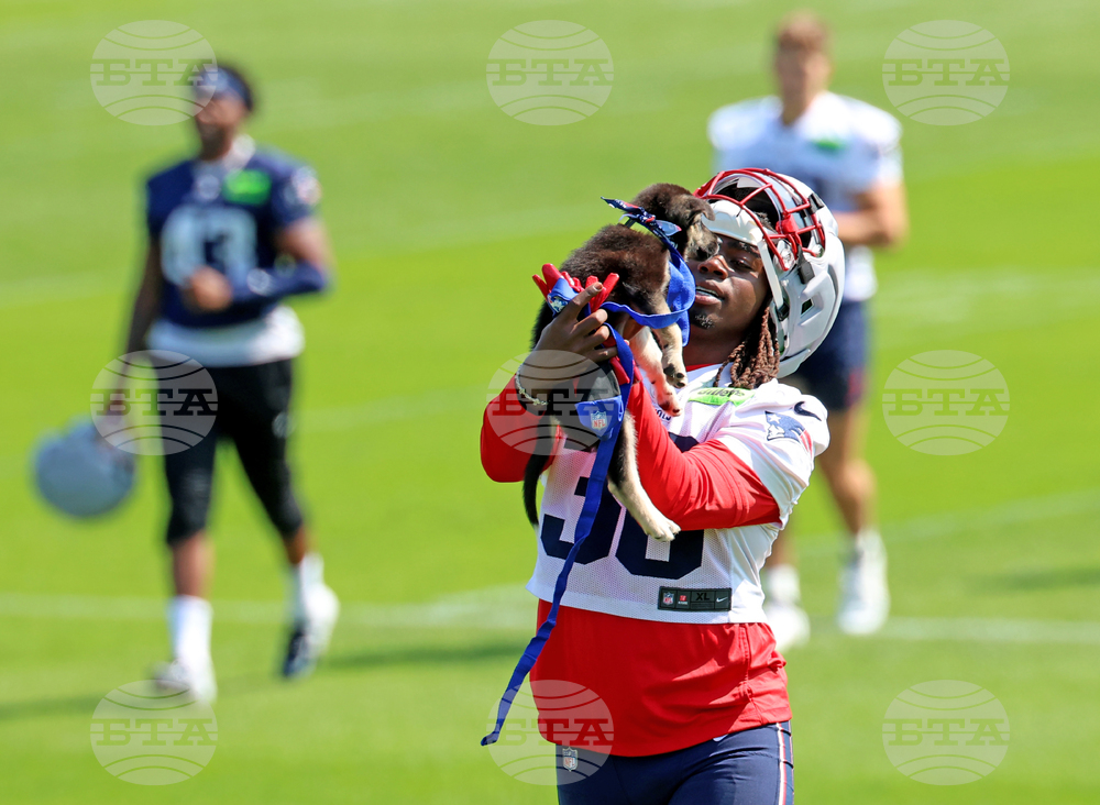 Patriots Camp Football