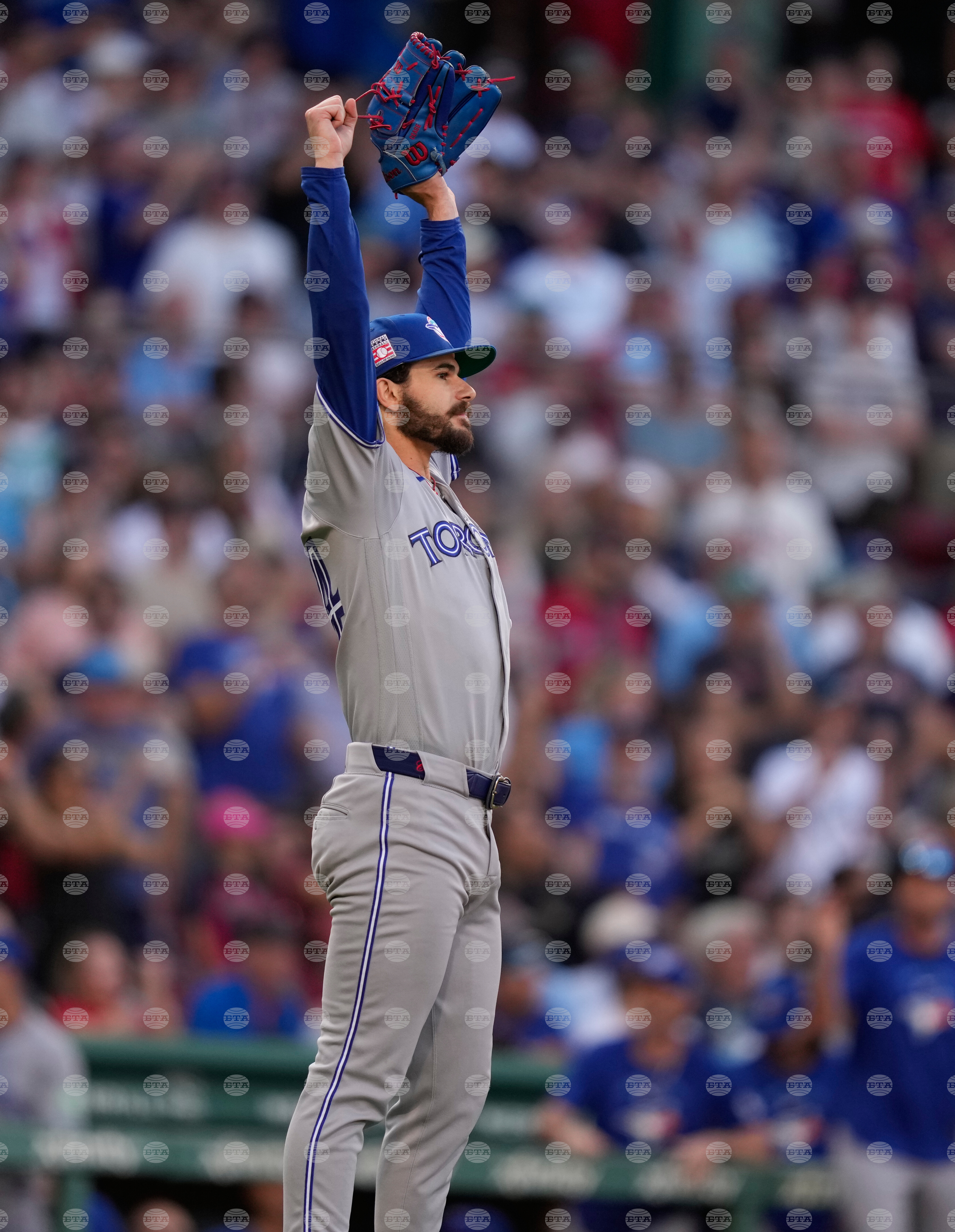 Blue Jays Red Sox Baseball