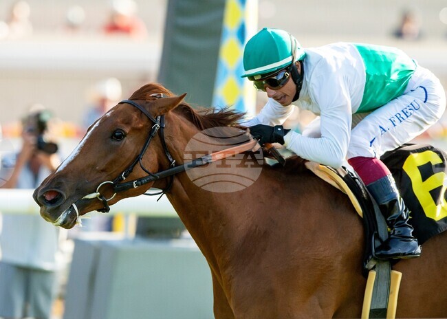 Del Mar Horse Racing