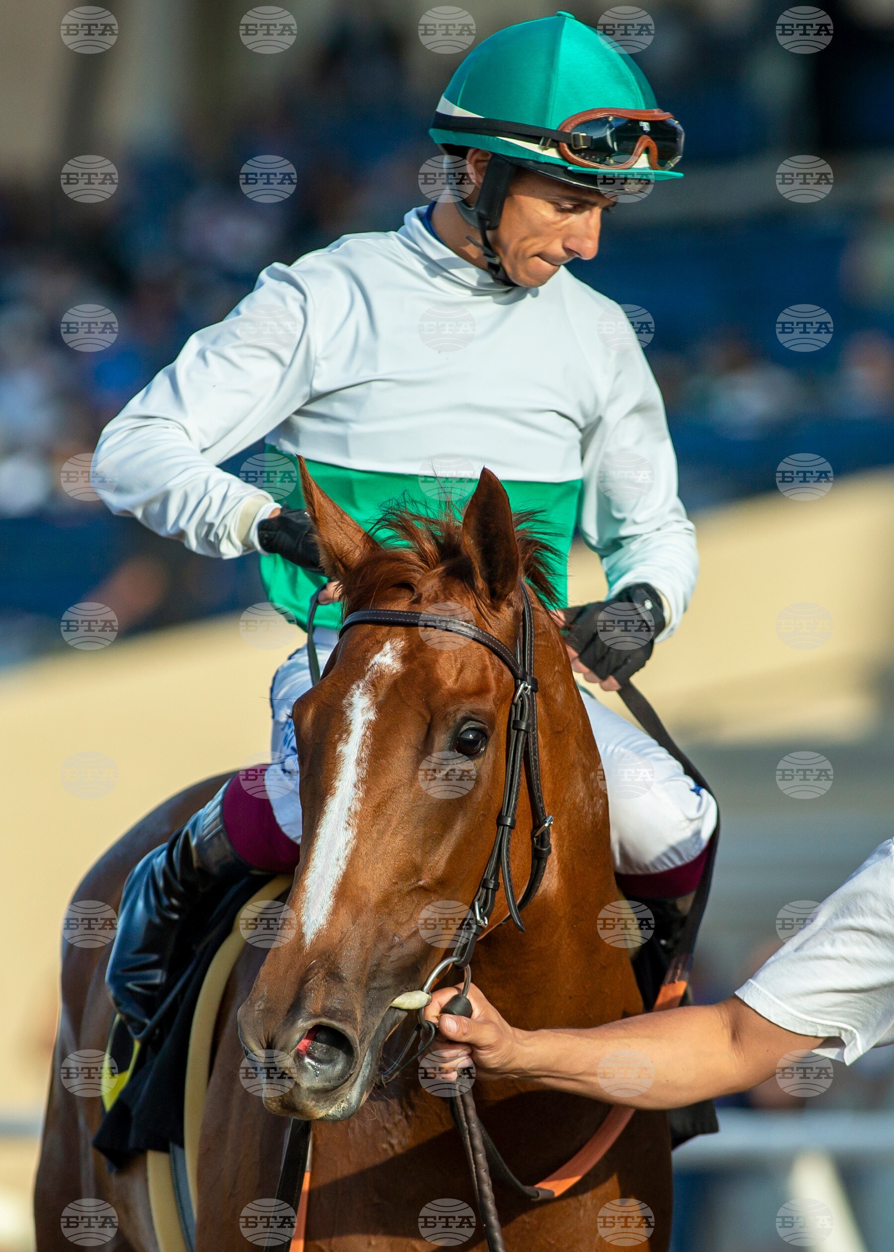 Del Mar Horse Racing