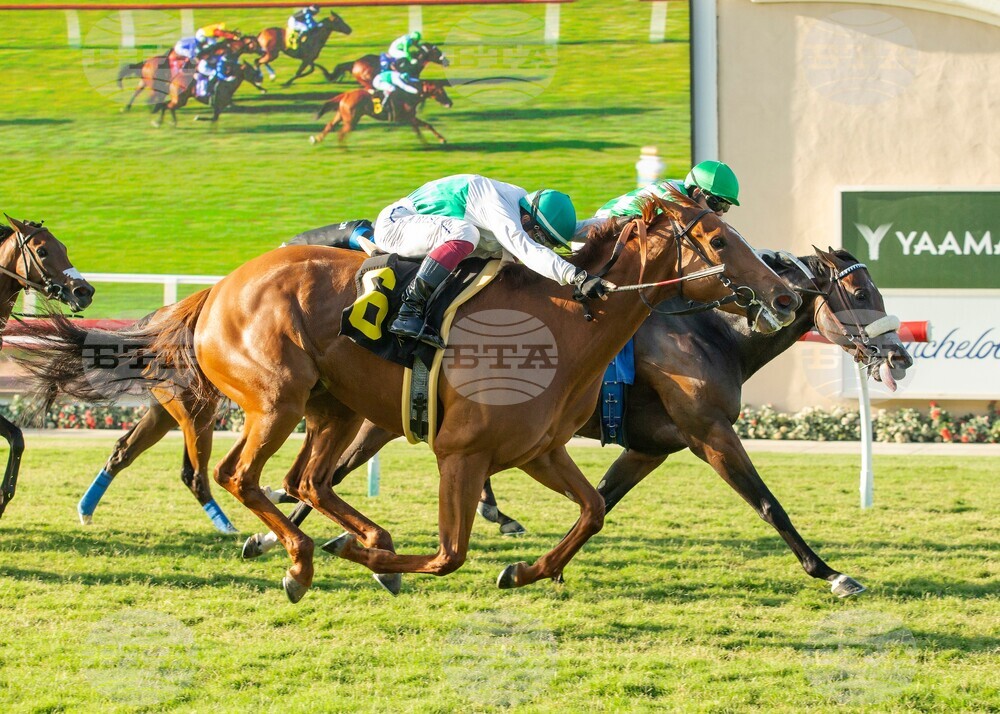 Del Mar Horse Racing