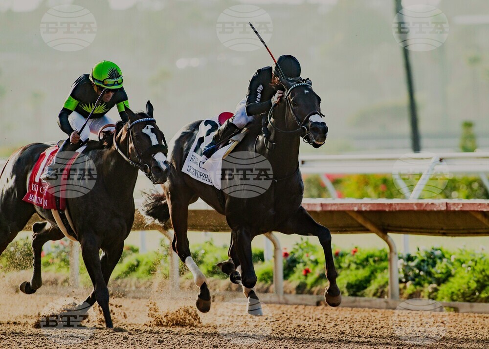 Del Mar Horse Racing