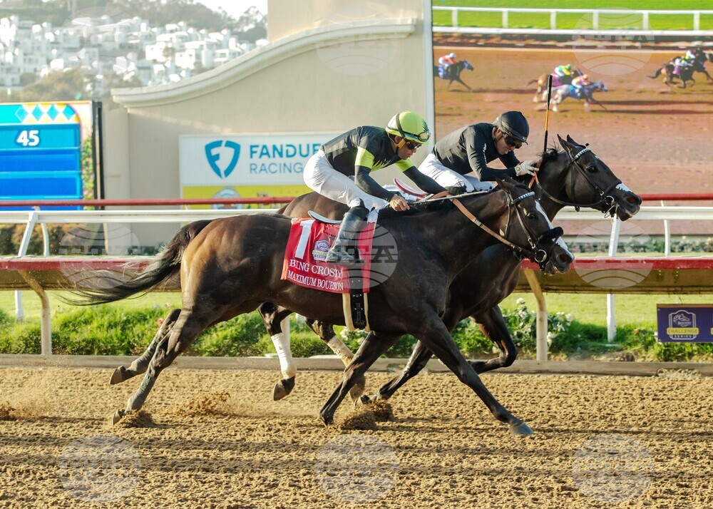 Del Mar Horse Racing