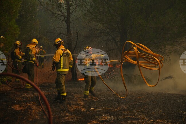 Spain Wildfires