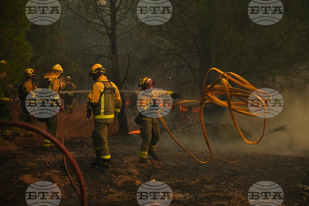 Spain Wildfires