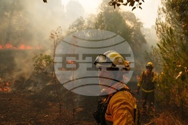 Spain Wildfires