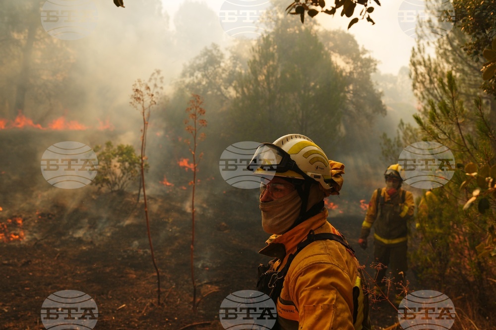 Spain Wildfires