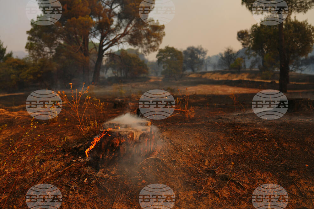 Spain Wildfires
