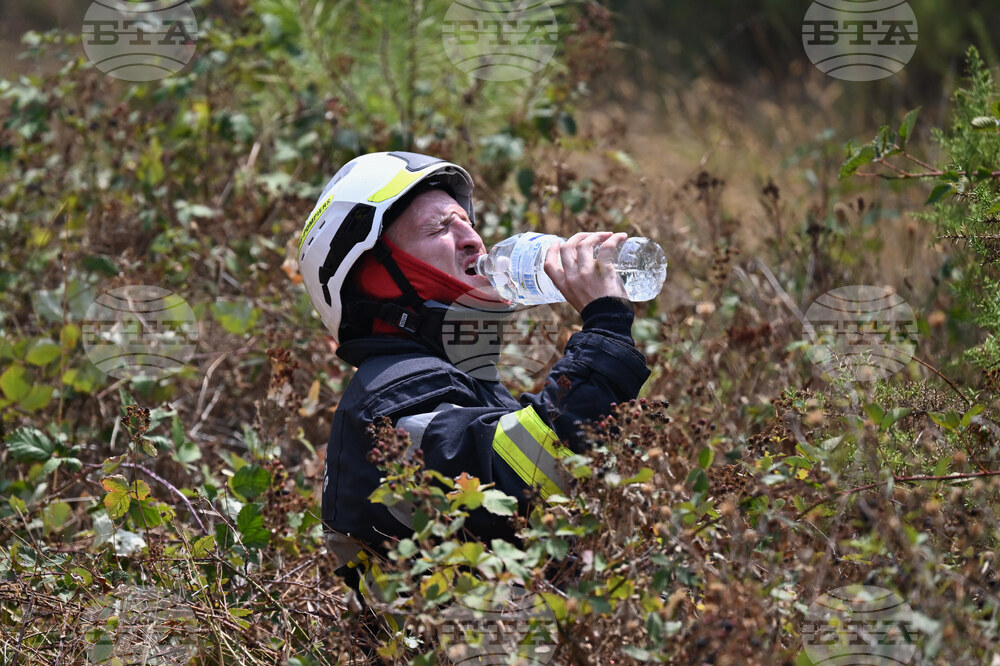 France Wildfires