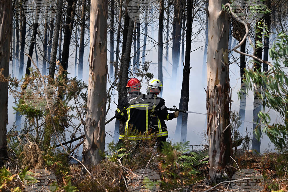 France Wildfires