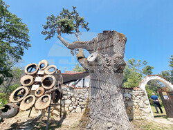 Трънско - опустошителен пожар - годишнина