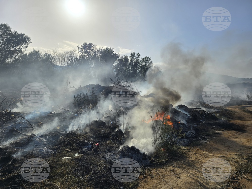 Four Areas on Greek Island of Paros Evacuated as Wildfire Breaks Out