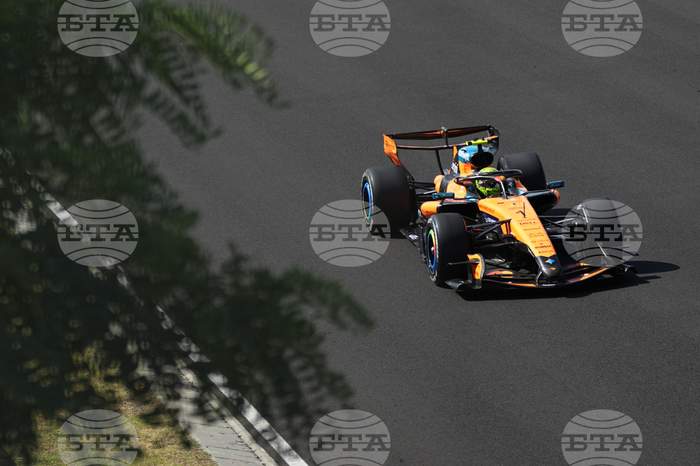 APTOPIX Hungary F1 GP Auto Racing
