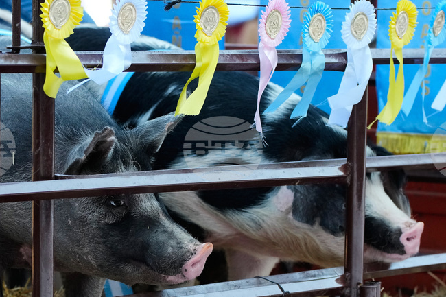 Argentina Agro Expo