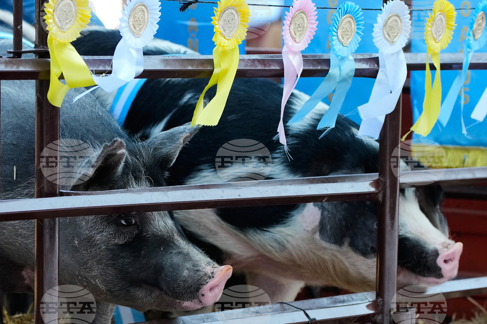 Argentina Agro Expo