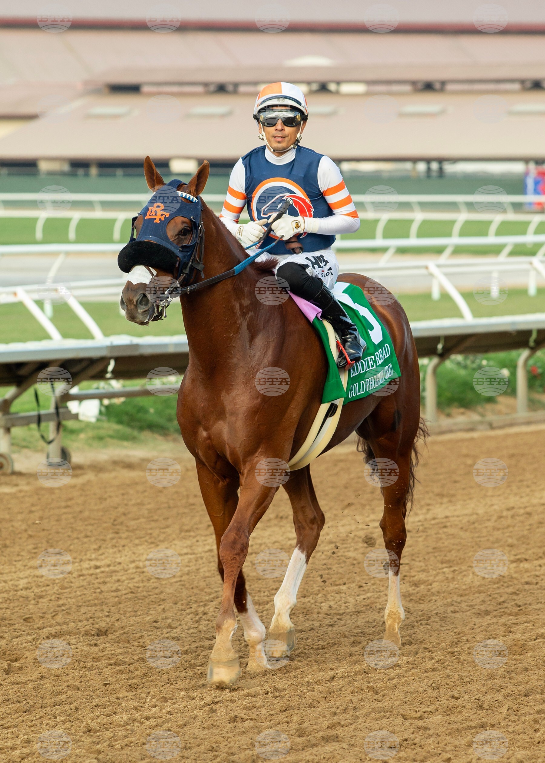 Del Mar Horse Racing