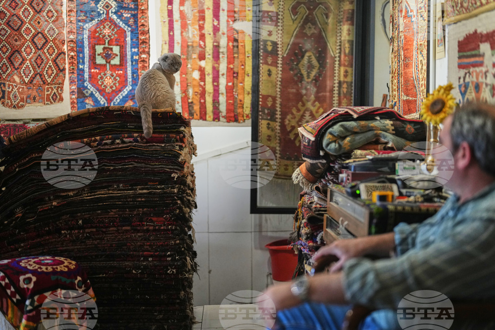 Days Disrupted Turkey