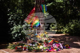Germany Pride