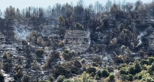 Italy Wildfires