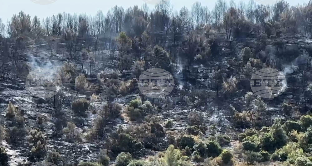 Italy Wildfires