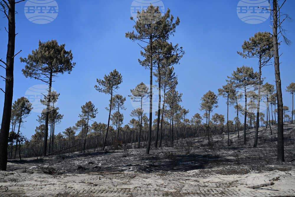 France Wildfires