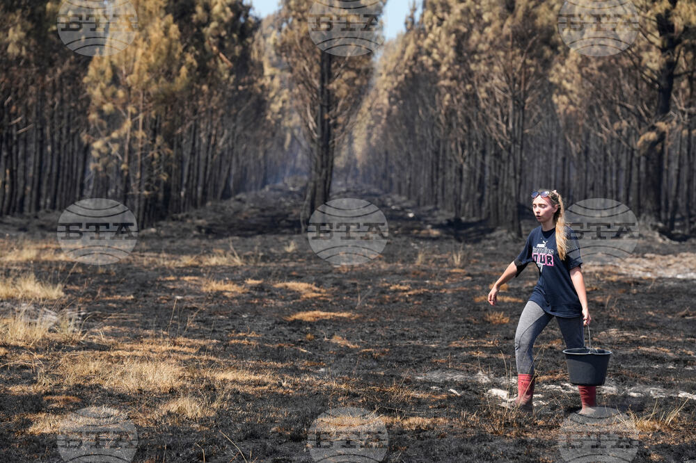 France Wildfires