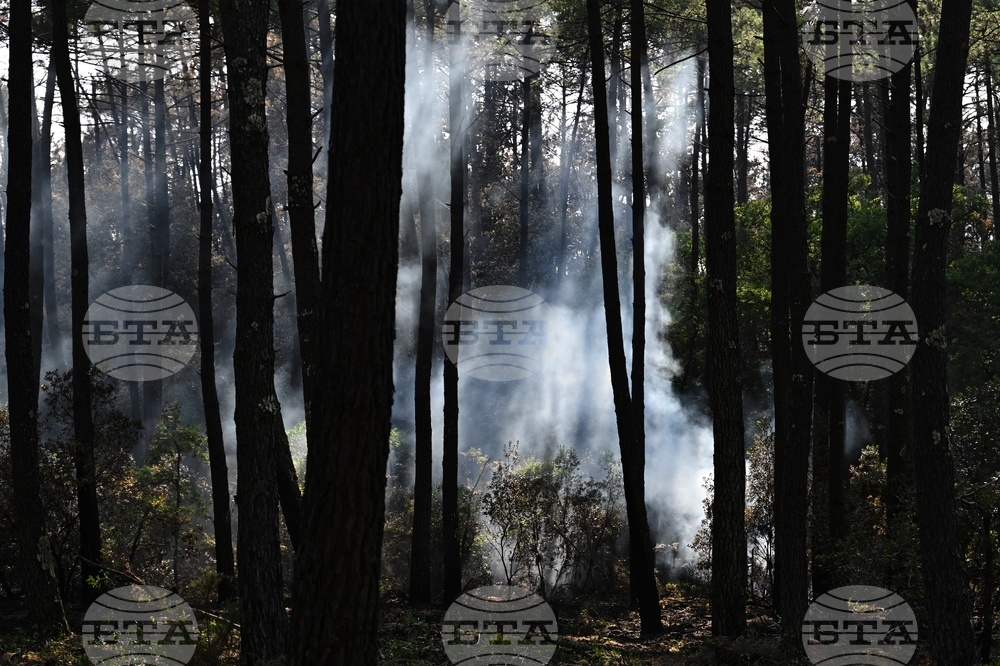 France Wildfires