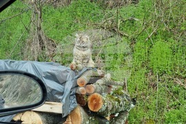 Село Делчево - планински туризъм