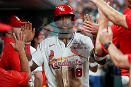 Cubs Cardinals Baseball