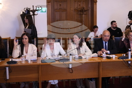 Народно събтание - Комисия по правни въпроси - заседание