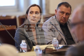 Народно събрание - Комисия по енергетика - заседание